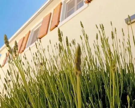 Dado Apartmán